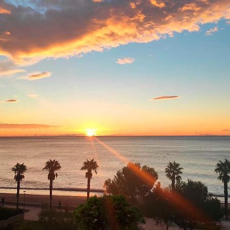 Sunrise Estudio Zebra, Con Vistas Jardin Y Mar Миами-Плайя Экстерьер фото